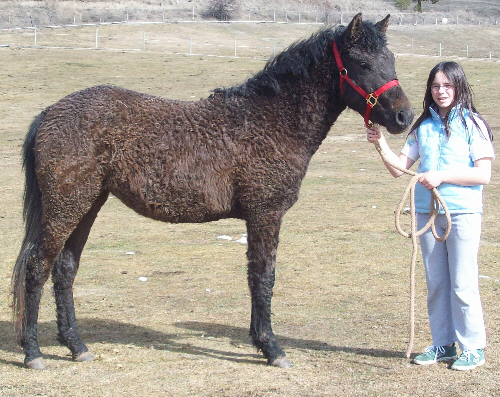 Serenaderightdaniellemarch 2009s.jpg